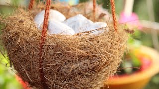 फ्री में बनायें गार्डन के लिये घोंसला Bird Nest How to make Bird Nest [upl. by Safir58]