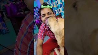 Meri soa bimariyoka 🥰dog doglover love dogs shortvideo purelove doglove dogshorts ytshorts [upl. by Elocn]