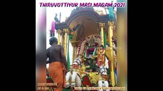 Thiruvottiyur Masi Magam Festival 2021 [upl. by Irved188]