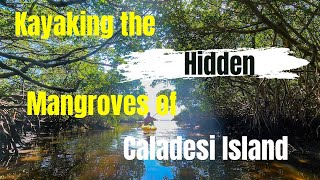 Kayaking the hidden Mangroves Of Caladesi Island [upl. by Lowrie]