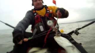 Kayak fishing  Cod amp Conger [upl. by Ydiarf]