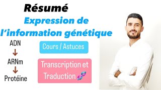 Résumé naaadi expression de l’information génétique  Transcription et Traduction  Mutation [upl. by Jacintha]