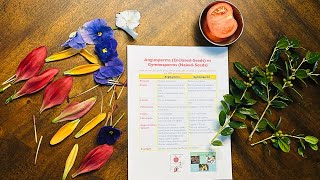 Angiosperm Plants vs Gymnosperm Plants [upl. by Ettelracs]