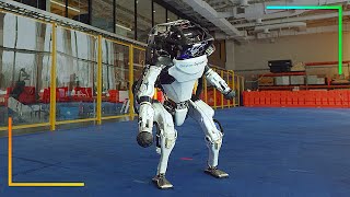 The Insane Evolution Of Boston Dynamics Robots [upl. by Ikila]