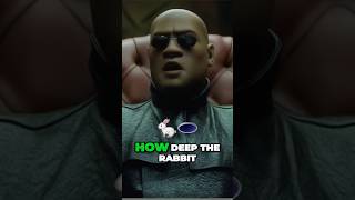 The Matrix Morpheus Scene Choosing the Red Pill or Blue Pill shorts heartbeatwisdom [upl. by Corbie7]