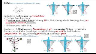 Herz 9 EKG 2  Ableitungen P und PQ [upl. by Nodnarb811]