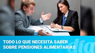 Todo lo que necesita saber de pensiones alimentarias [upl. by Koby]