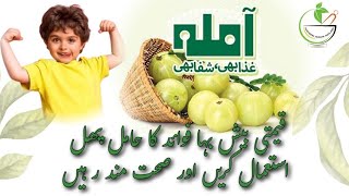 Amla health benefits Sokra ka ilaj Amla kay fayde سوکڑا کا دیسی علاج By Hakeem Akbar inqlabi [upl. by Randie946]