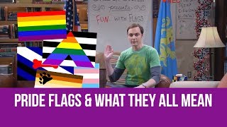 Pride Flags and What They All Mean [upl. by Pudens934]