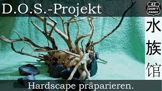 Hardscape präparieren  DOSProjekt [upl. by Icaj394]