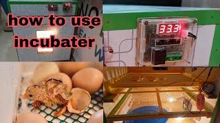 How to hatch a chicks egg at home  Incubator Use Full Information and Tips for better Hatching resu [upl. by Ardeahp]