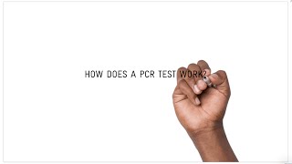 How does a COVID19 PCR test work [upl. by Gnolb]