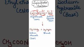 Saponification Reaction  Reaction of ester with base soap saponification [upl. by Raouf176]