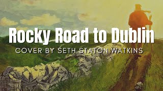 Rocky Road to Dublin Cover by Seth Staton Watkins [upl. by Gothart]