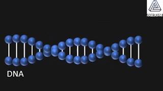 Transfer of Stress and Trauma Through Multiple Generations Via Epigenetic Mechanisms [upl. by Ahsimik908]