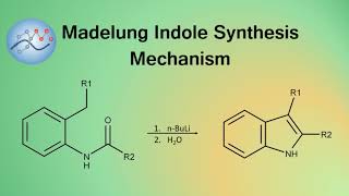 Madelung Indole Synthesis Mechanism  Organic Chemistry [upl. by Akeme]