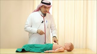 Pediatric Cardiovascular Assessment Physical Examination  Dr Zaher Faisal Zaher [upl. by Nikolai54]