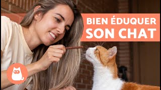 Comment EDUQUER un CHAT  🐱  Guide complet sur léducation dun chat ✅ [upl. by Suivatram]