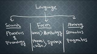 SEMANTICS1 What is Semantics [upl. by Lawrence]