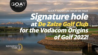 Signature Holes on Tour  De Zalze [upl. by Herod]