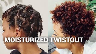 Moisturized Twistout [upl. by Aliet957]