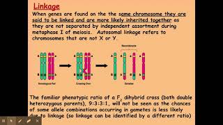 612 Patterns of inheritance b Autosomal linkage [upl. by Atteoj597]