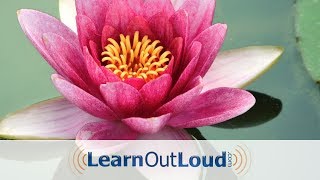 The Dhammapada  Full Audiobook [upl. by Liva]