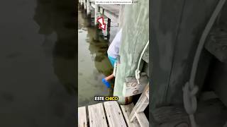 Tortuga Como Gusano Encontrada en el Agua 😳 [upl. by Behrens]