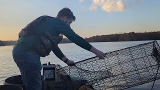 CATFISH WIRE NETS amp ALL YOU NEED TO KNOW Buying BAIT GEAR and Catching BOAT LOADS of FISH [upl. by Doughty337]