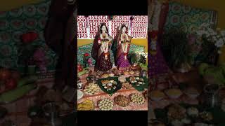 Mahalaxmi video viralshort [upl. by Alocin521]