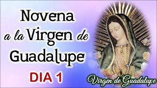 Primer día de la Novena a la Virgen de Guadalupe Domingo 3 de Diciembre 2023 💖Virgen de Guadalupe💖 [upl. by Yraek]