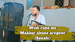 New Eritrea music 2024 Tesfay alem  wedi ruba  part 1 [upl. by Chicoine]