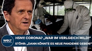 H5N1 quotCorona war im Vergleich mildquot Vierter VogelgrippeFall in USA Neue Pandemie Das sagt Stöhr [upl. by Gradeigh877]