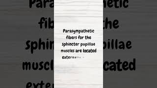 Pupillary changes in a CN3 palsy  MRCP revision  shorts cranialnerves cranialnerve neurology [upl. by Ettenel139]