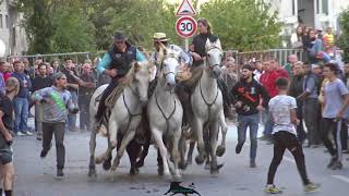 SAINT REMY DE PROVENCE BANDIDO MANADE LESCOT LE 25 09 2017 [upl. by Solley]