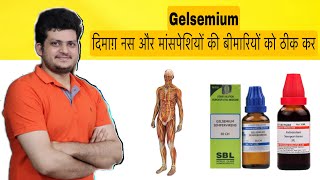 दिमाग़ नस और मांसपेशियों का संतुलन बनाये रखती है ये दवा  gelsemium Homeopathic Medicine [upl. by Vinnie462]