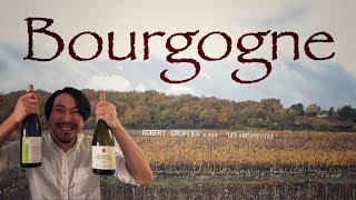 【二日目でも美味しい！ブルゴーニュワイン紹介】ゆきおとワイン20「Bourgogne PassetoutgrainとBourgogne Aligoté」 [upl. by Zeret554]