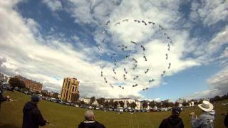 Portsmouth Kite Festival 2011 Sunday  MegaFly [upl. by Omle]