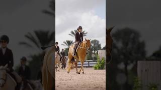 les poneys les plus mignons wellington ponies horses showjumping shortswithzita [upl. by Latricia]