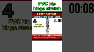 PVC hip hinge stretch workout posturecorrection [upl. by Kariotta]