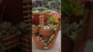 Building Decoration Terrarium in Planter planter gardendecor [upl. by Diskin]