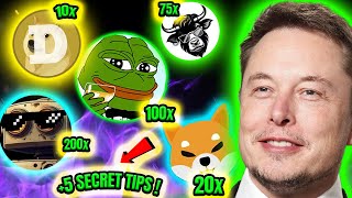 Top 5 Crypto Meme Coins for 2024 BULL RUN 📈🔥 5 MEMECOIN MUST KNOW TIPS 🤑 Meme Coin Guide [upl. by Columbus811]