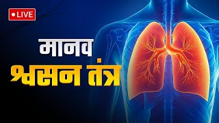 मानव श्वसन तंत्र क्या है  How Does the Human Respiratory System Work humanrespiratorysystem [upl. by Hadeehsar131]