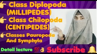 Class Diplopoda MILLIPEDES Class Chilopoda CENTIPEDES Classes Pauropoda And Symphyla [upl. by Aisa]