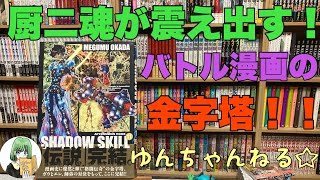 「格闘漫画の金字塔！」購入＆オススメ漫画紹介 ゆんちゃんねる145「シャドウスキル」 [upl. by Erodaeht]