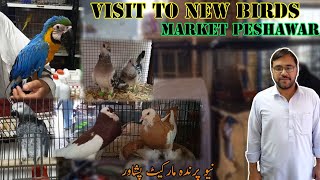 VISIT TO NEW BIRDS MARKET PESHAWAR  BADSHAHI SHOQ [upl. by Dloniger140]