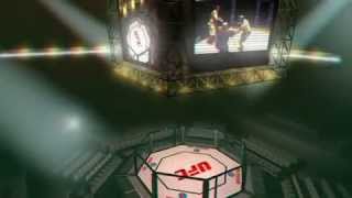 Stereo 3d UFC Arena Octagon YT3DEnabledTrue [upl. by Harpole582]