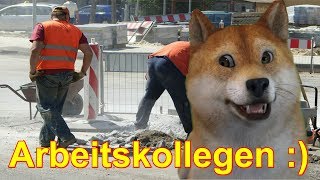 😂 😃 😄 Für Mitarbeiter Arbeit Kollegen 😂 😃 😄 Talking sprechender Hund FaceRig [upl. by Ahseim]