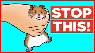 18 Things Hamsters Hate [upl. by Annahtur159]