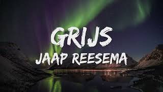 Jaap Reesema  Grijs SongtekstLyrics 🎵 [upl. by Kleon]